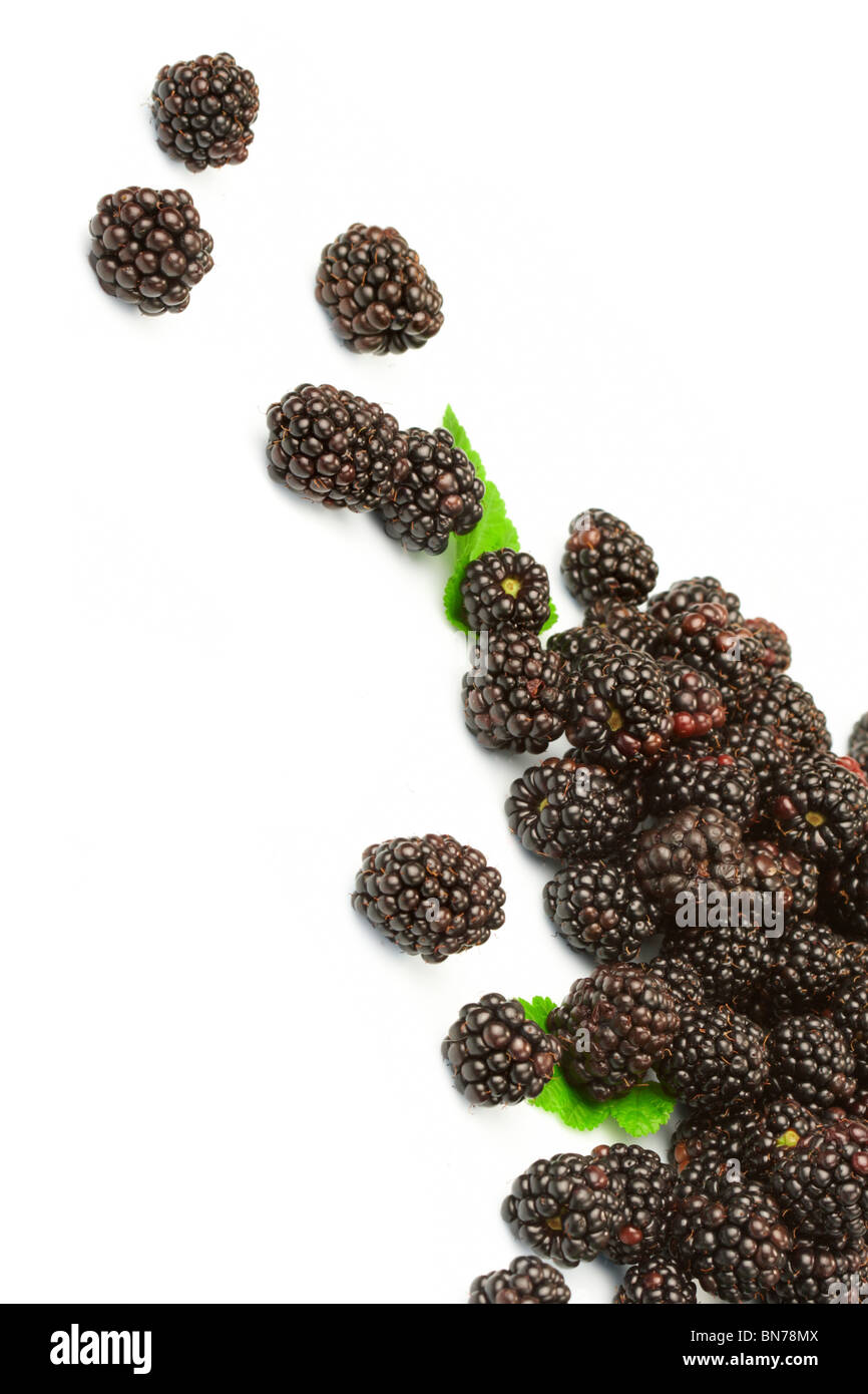 dewberry Foto Stock
