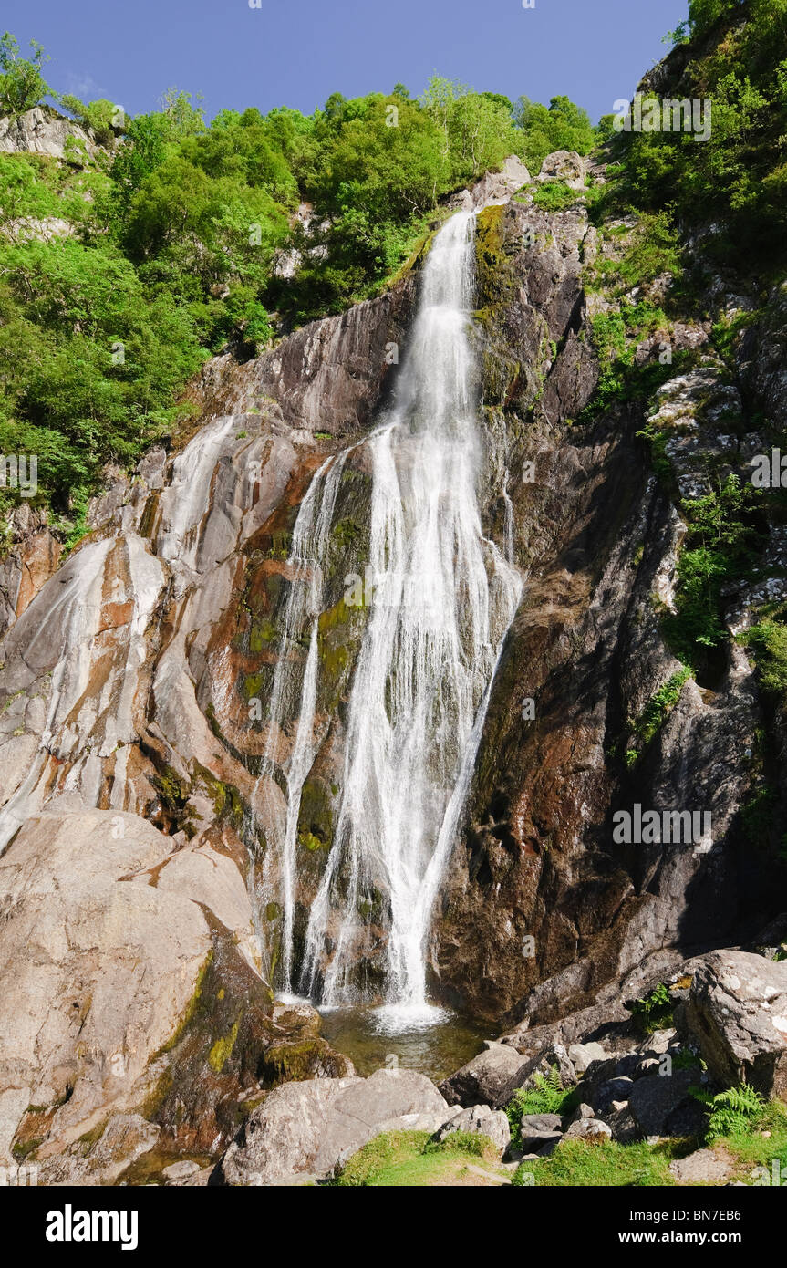 Aber cade in Coedydd Aber Riserva Naturale Gwynedd in Galles Foto Stock