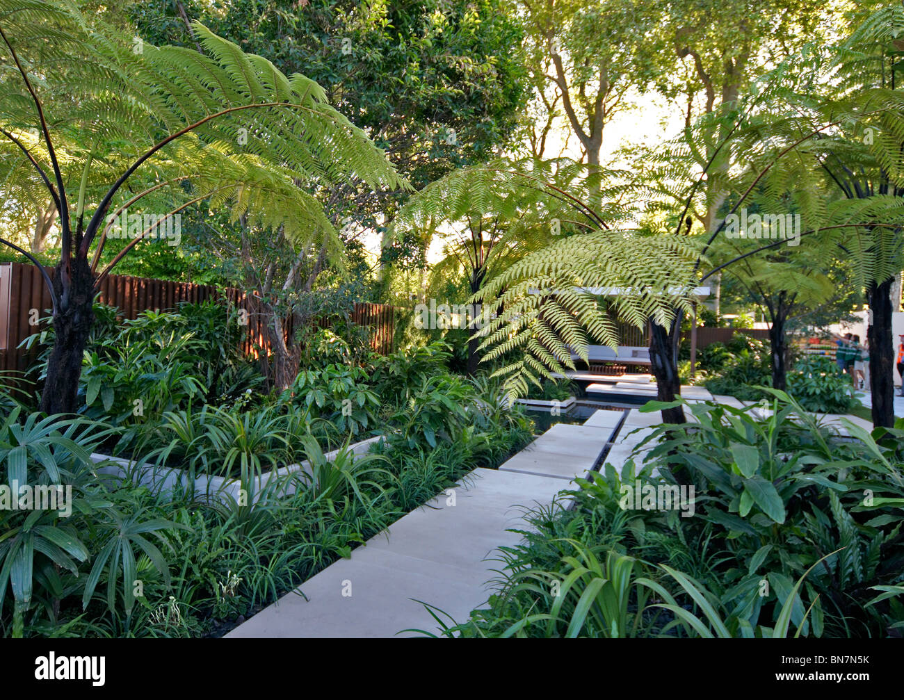 Una creazione di un tropicale esotico giardino foresta pluviale con funzione di acqua Foto Stock