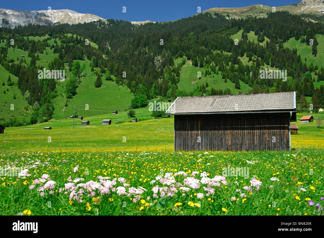 Fienile su un prato di montagna vicino al villaggio di Laehn, Tiroler Zugspitz Arena del Tirolo, Austria Foto Stock