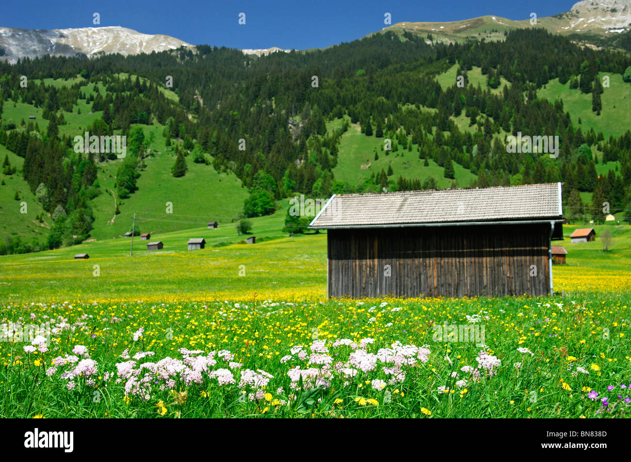 Fienile su un prato di montagna vicino al villaggio di Laehn, Tiroler Zugspitz Arena del Tirolo, Austria Foto Stock