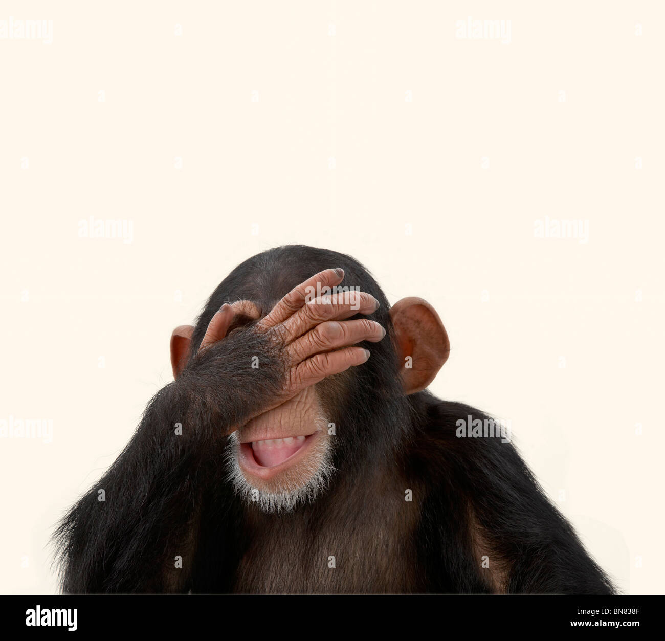 Oh bene bene, si prega di non cadere ... Foto Stock