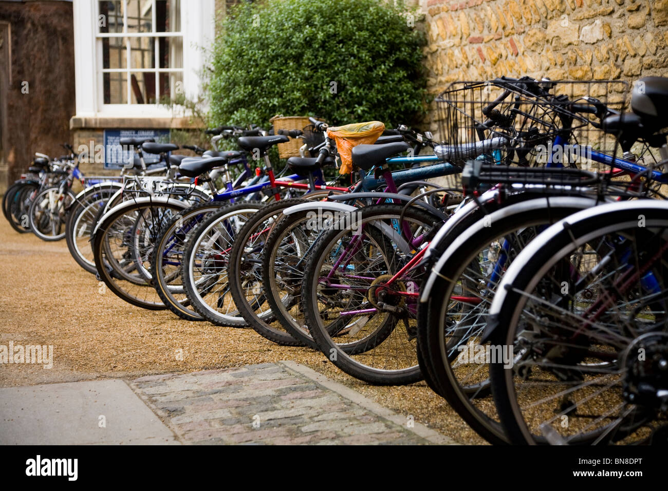 Studente / studenti' biciclette presso l'Università di Cambridge, bloccato fino al di fuori del Trinity College. Trinity Lane, Cambridge. Cambridgeshire Foto Stock