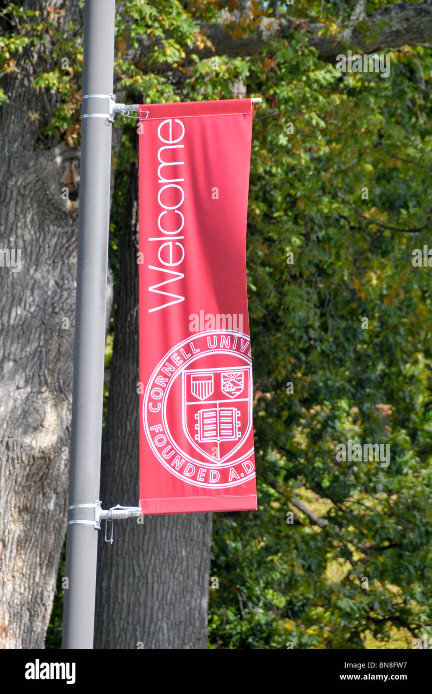 La Cornell University campus Ithaca New York Regione dei Laghi Finger Foto Stock