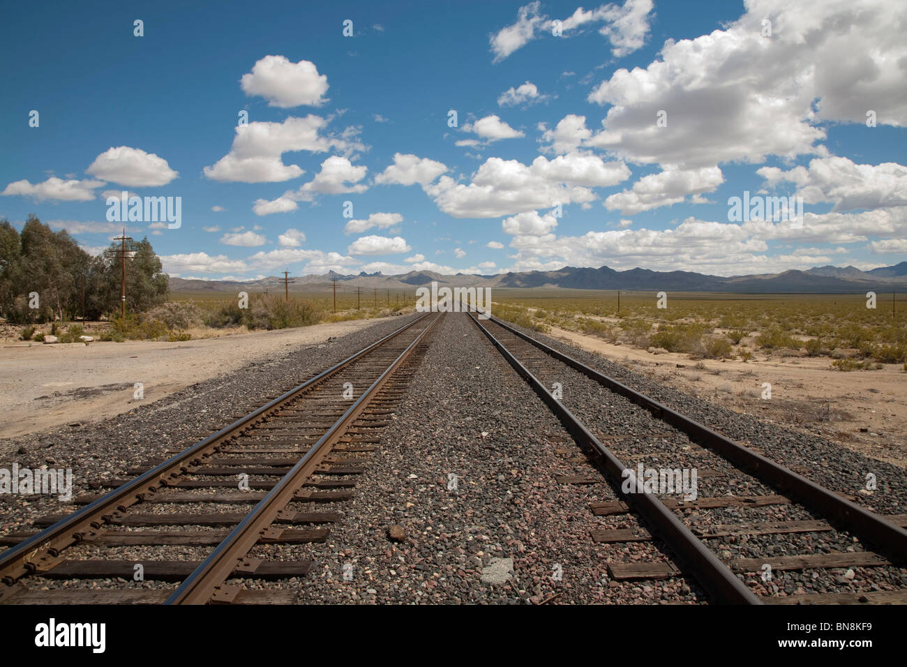 Union Pacific Railroad a Nipton in California USA Foto Stock