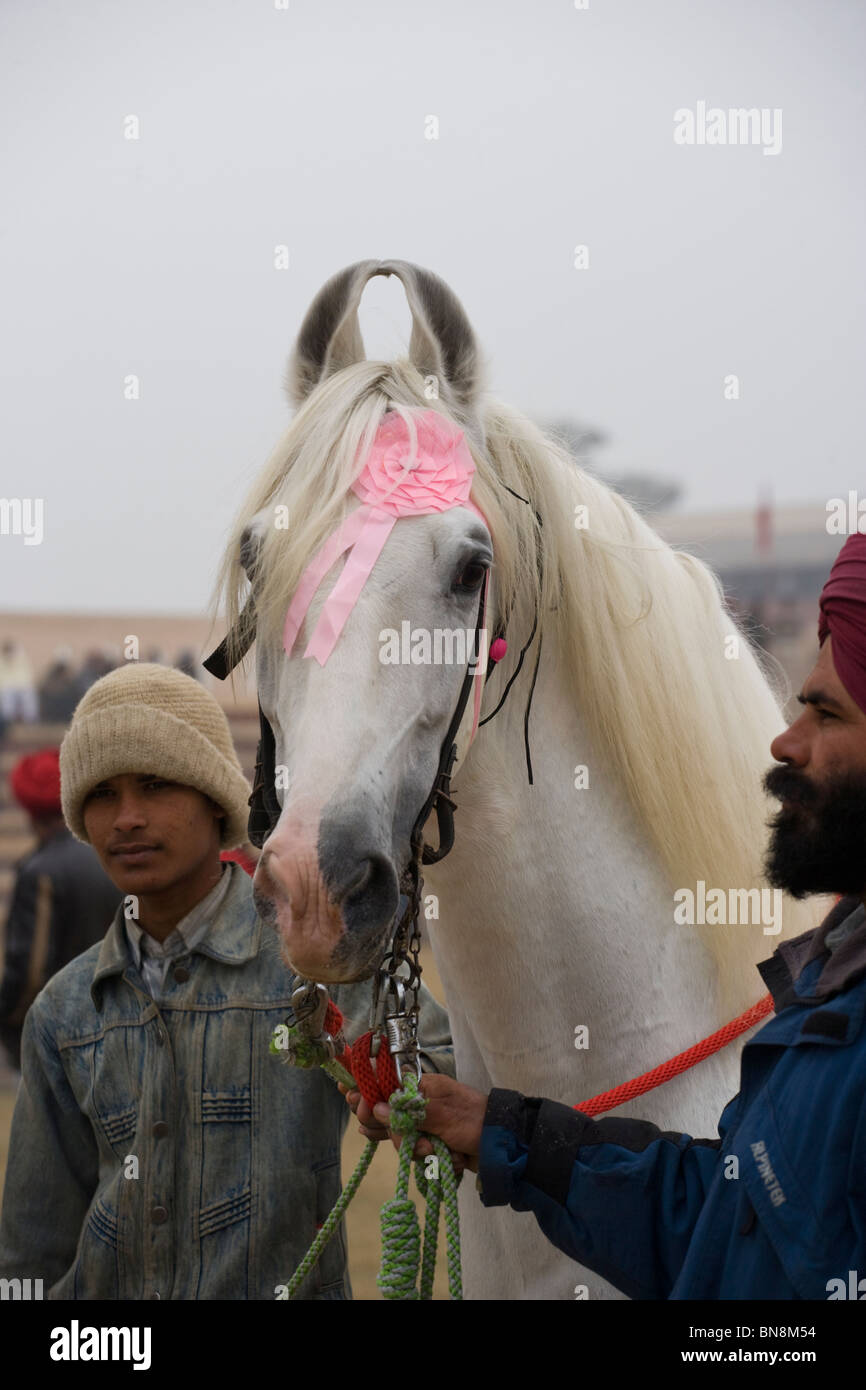 Fair Maghi Mela Punjab Mukstar India cavallo sikh Foto Stock