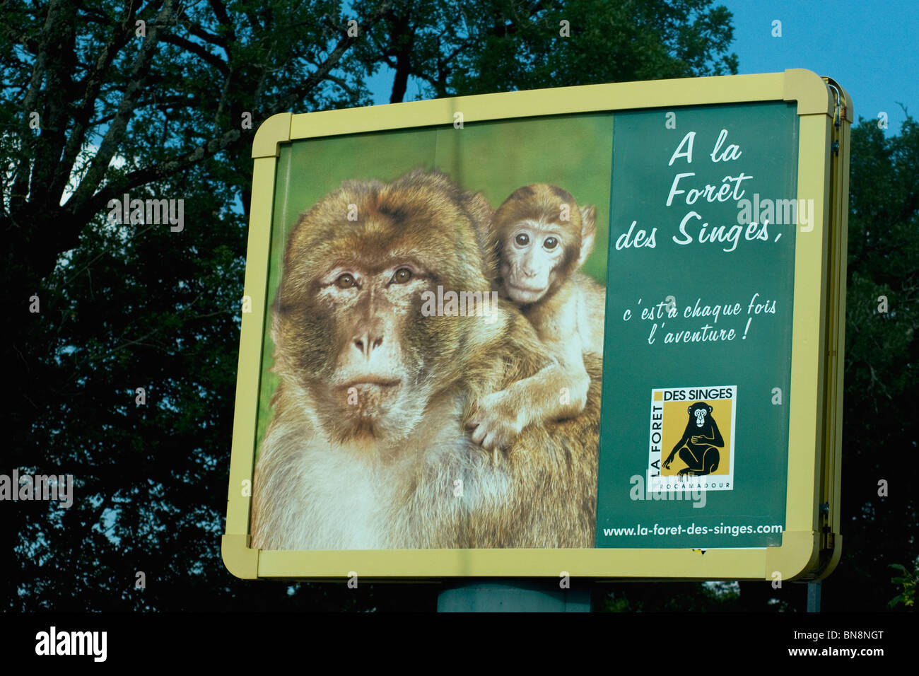 Cartello stradale nei pressi di Rocamadour per la Foret des Singes, un parco boscoso di Free-roaming Barbary macachi (o scimmie) Foto Stock