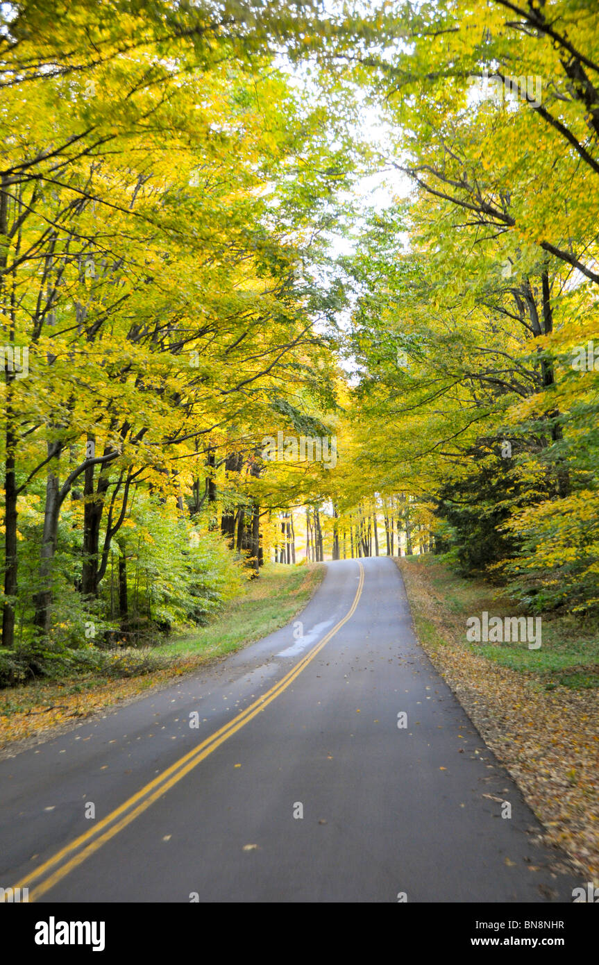 Autunno a colori Road Ohio Foto Stock