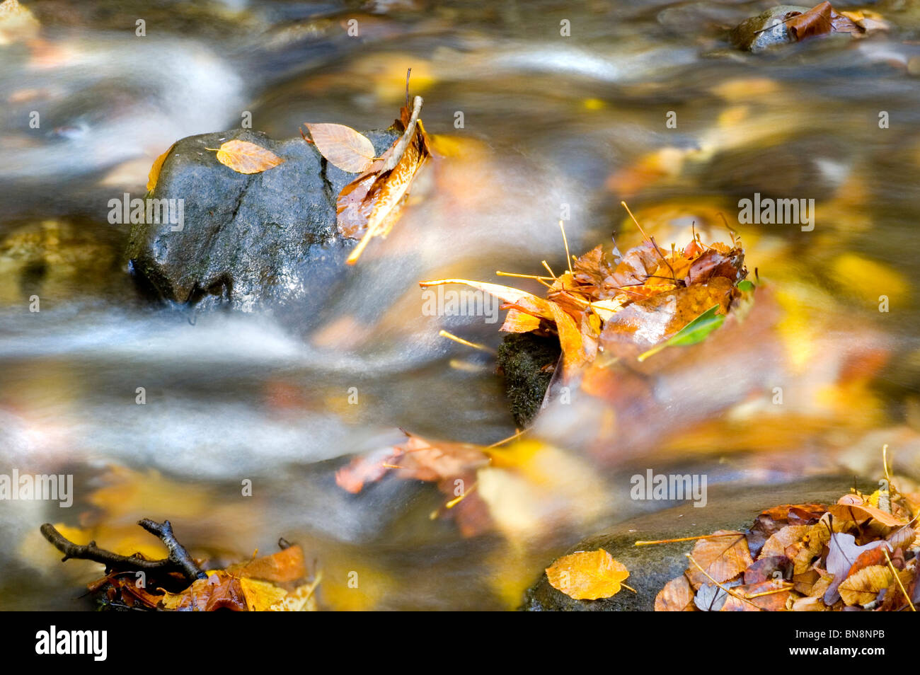 Cascata di autunno Foto Stock