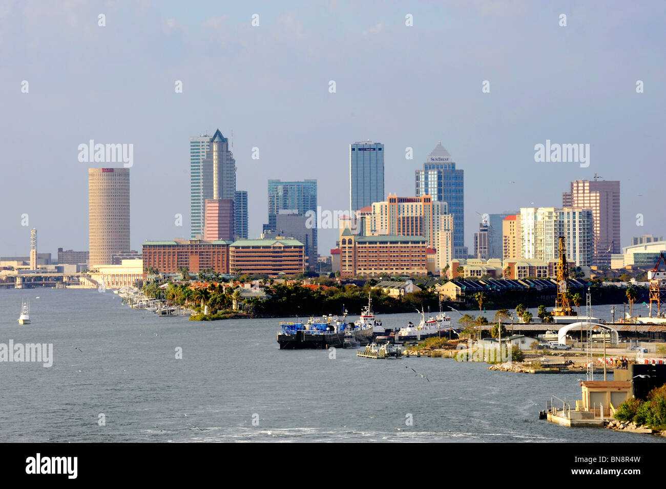 Downtown Tampa Bay Florida Skyline dalla nave da crociera Foto Stock