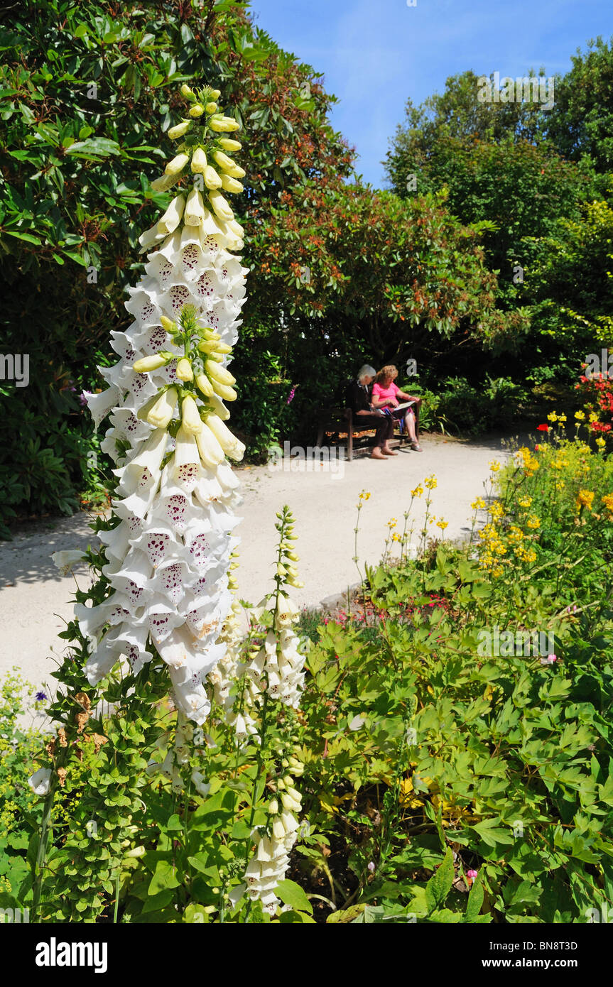 Il Lost Gardens of Heligan in cornwall, Regno Unito Foto Stock