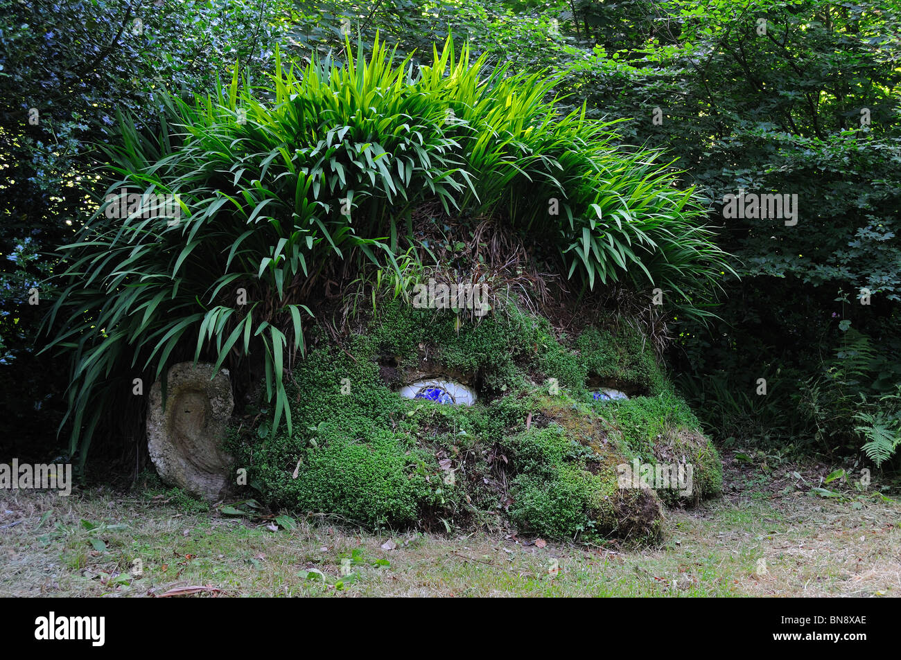 I giganti ' la testa ' al Lost Gardens of Heligan in cornwall, Regno Unito Foto Stock