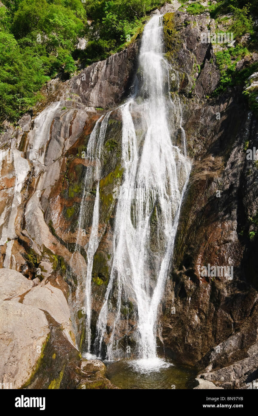 Aber cade in Coedydd Aber Riserva Naturale Gwynedd in Galles Foto Stock