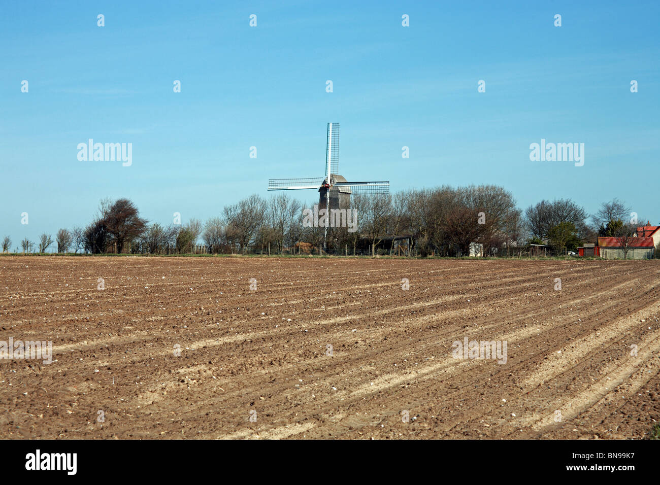 Vista del Moulin de Coquelles da attraverso i campi durante la primavera, Coquelles vicino a Calais, Pas de Calais, Francia Foto Stock