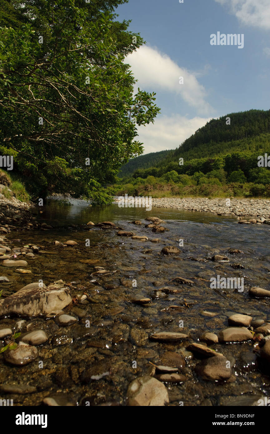 Il Grogwynion SSSI (siti di particolare interesse scientifico) sul fiume Ystwyth, la navigazione da Aberystwyth, Ceredigion, Wales UK Foto Stock