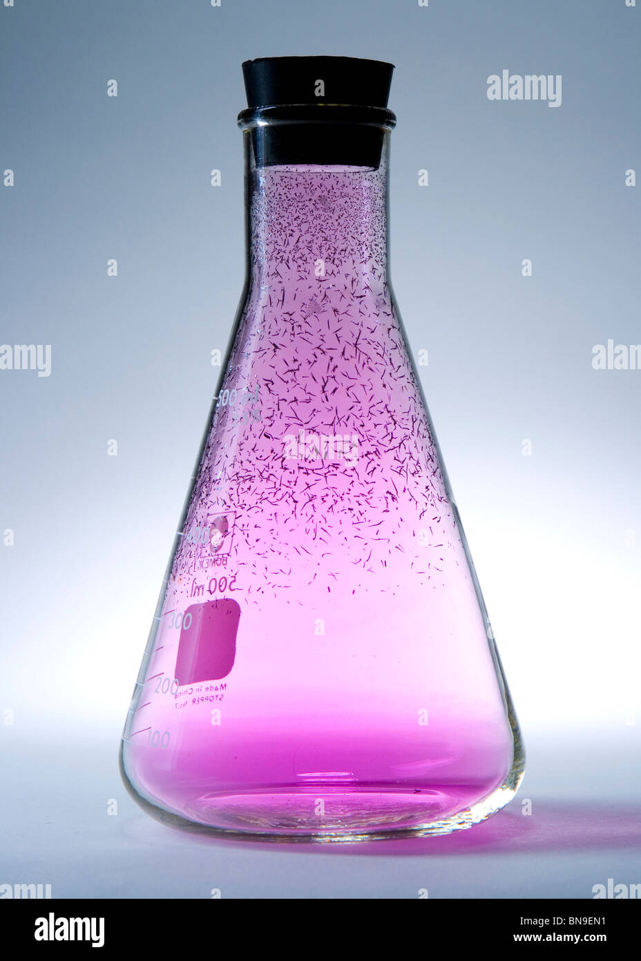 Gas di iodio in un matraccio di Erlenmeyer otturato (utilizzare con immagine BN9DTT e immagine BN9EJ5 per rappresentare l'equazione H2 + I2= HI) Foto Stock
