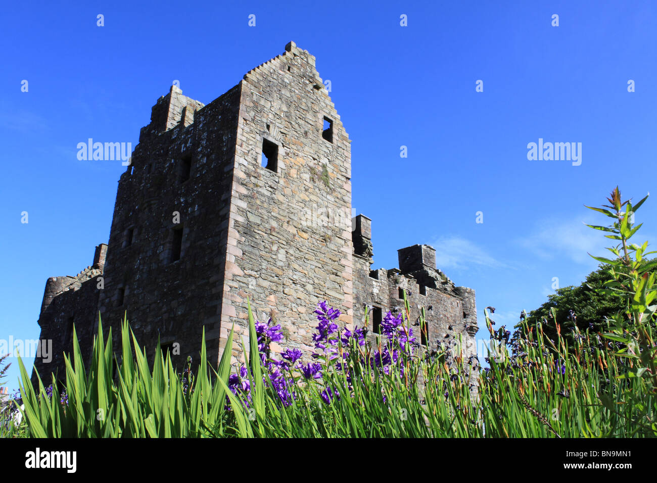 Maclellan il Castello, Kirkcudbright Foto Stock
