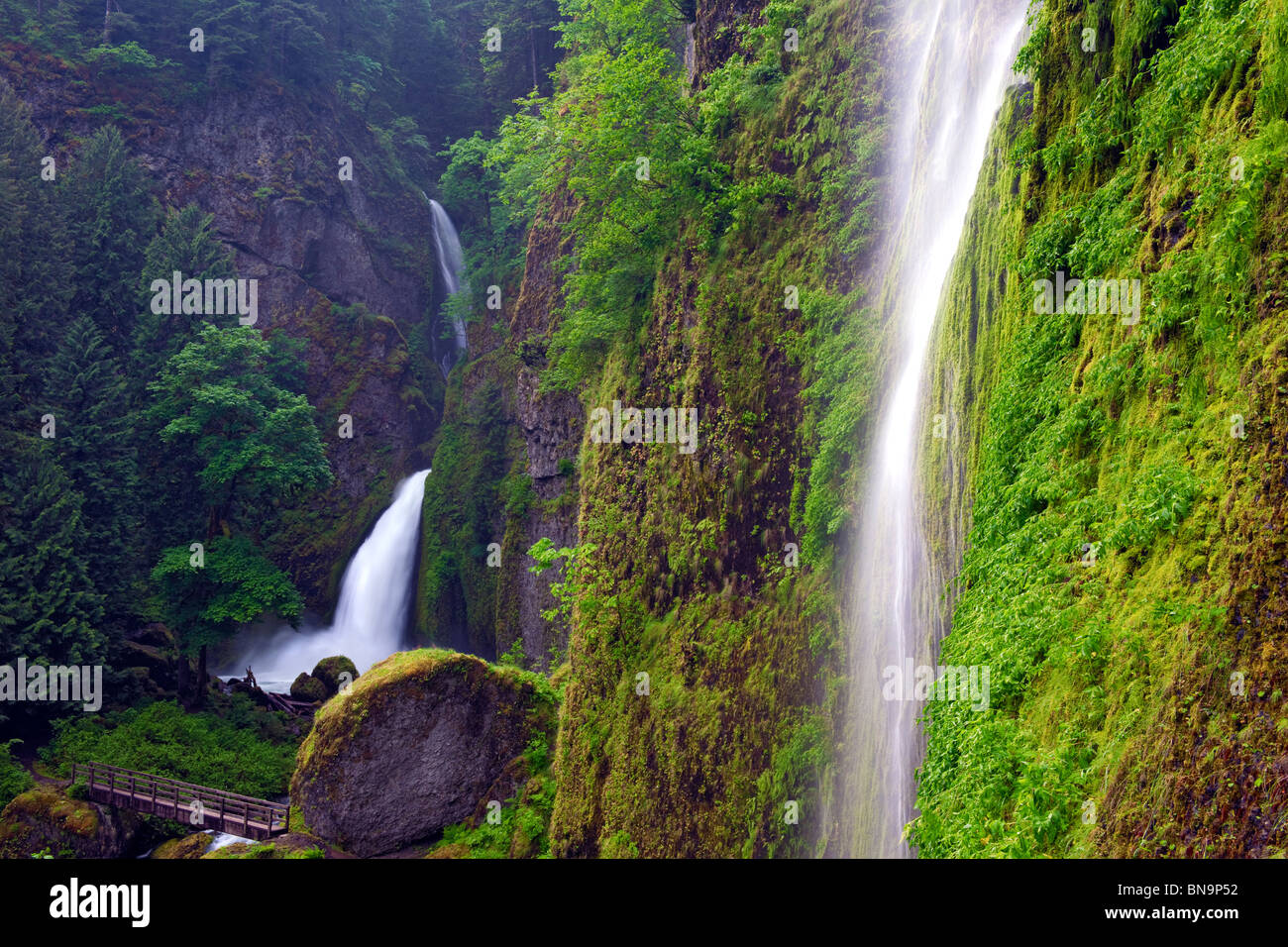 Cascata stagionale si riversa la molla verde con Tanner Creek Falls in Oregon la Columbia River Gorge. Foto Stock