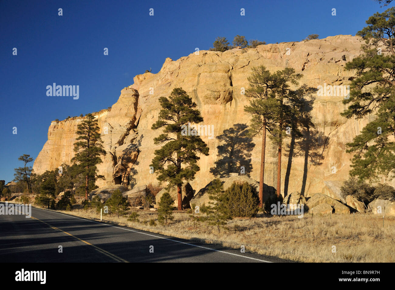 Scogliere di arenaria in El Malpais monumento nazionale, Nuovo Messico Foto Stock