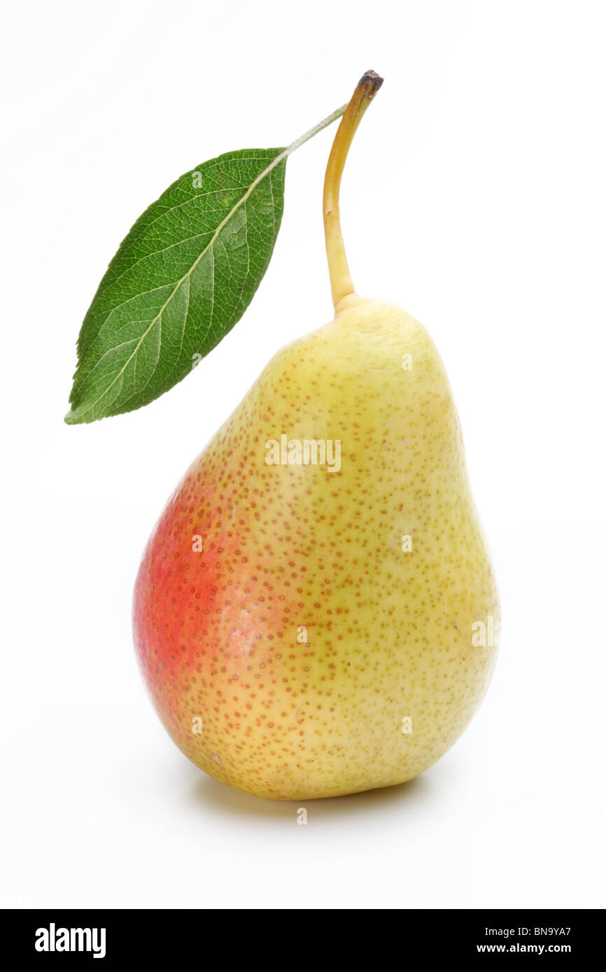 Una pera con una foglia. Isolato su uno sfondo bianco. Foto Stock