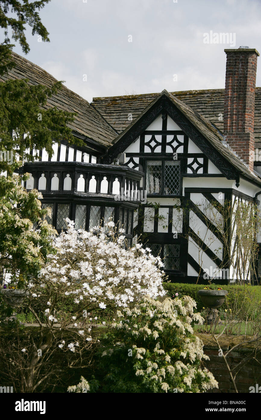 Gawsworth Old Hall, Inghilterra. Magnolia bianco in piena fioritura con la west elevazione di Gawsworth Old Hall in background. Foto Stock Gawsworth Old Hall, Inghilterra. Magnolia bianco in piena fioritura con la west elevazione di Gawsworth Old Hall in background. Foto Stock