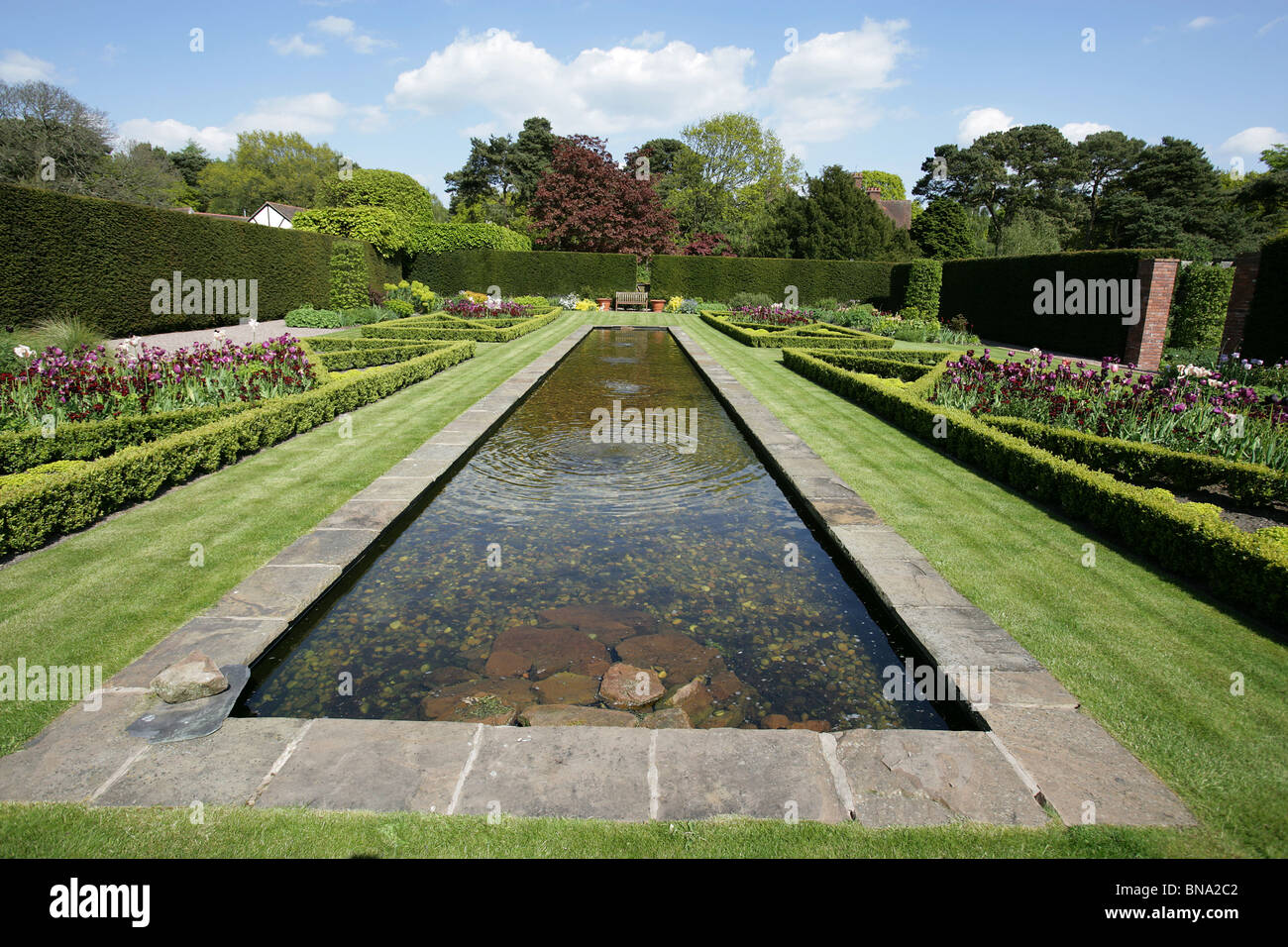 Giardino Abbeywood, Cheshire. Molla di vista Abbeywood giardino piscina del giardino. Foto Stock