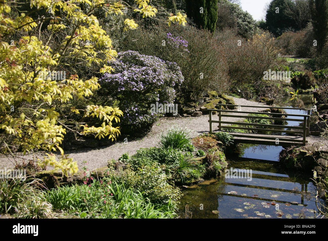 Arley Hall & Gardens, Inghilterra. La molla vista del giardino Rootree a Arley Hall Gardens. Foto Stock