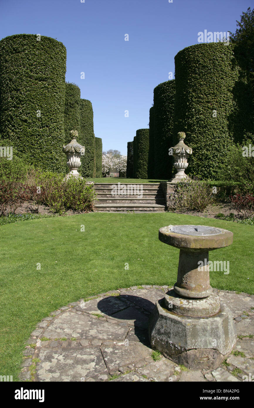 Arley Hall & Gardens, Inghilterra. Vista la meridiana cerchio con la tagliata avenue di querce sempreverdi al vicolo della Hall Ilex Avenue. Foto Stock