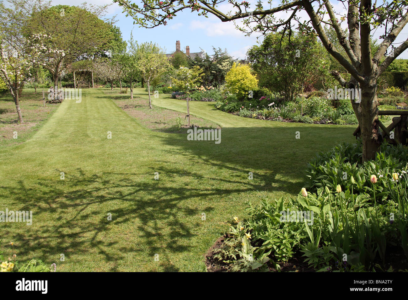 Bluebell Cottage Gardens, Inghilterra. Molla generale vista di Bluebell Cottage Gardens frontiere, arbusti e biancheria da letto. Foto Stock