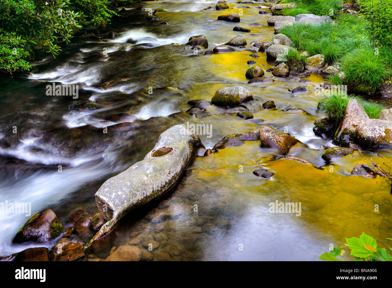 Fiume Oconaluftee, Great Smoky Mountains National Park, STATI UNITI D'AMERICA Foto Stock