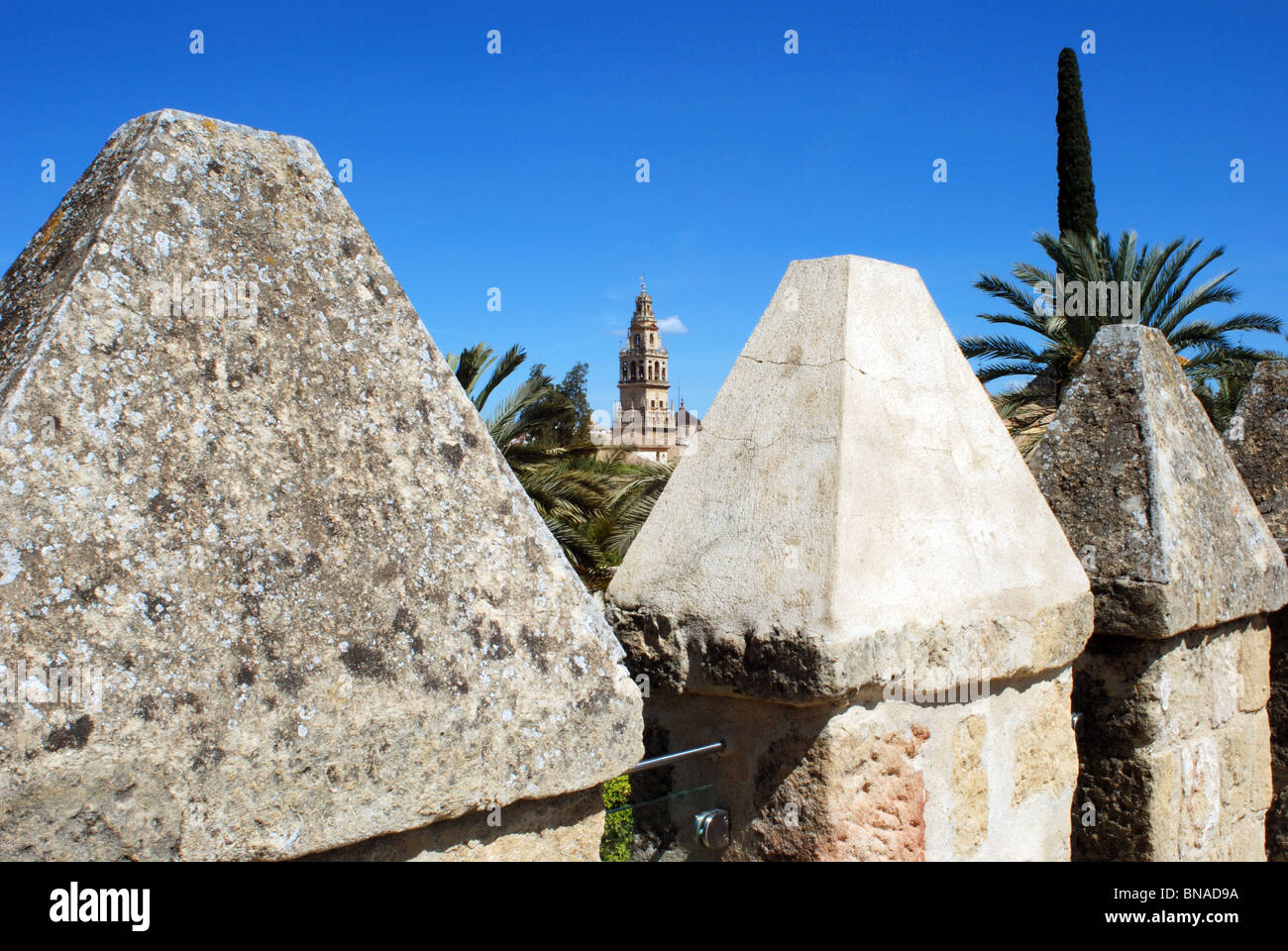 Fortezza del Palazzo dei Re Cristiani - Castello merlature, Cordoba, in provincia di Cordoba, Andalusia, Spagna, Europa occidentale. Foto Stock