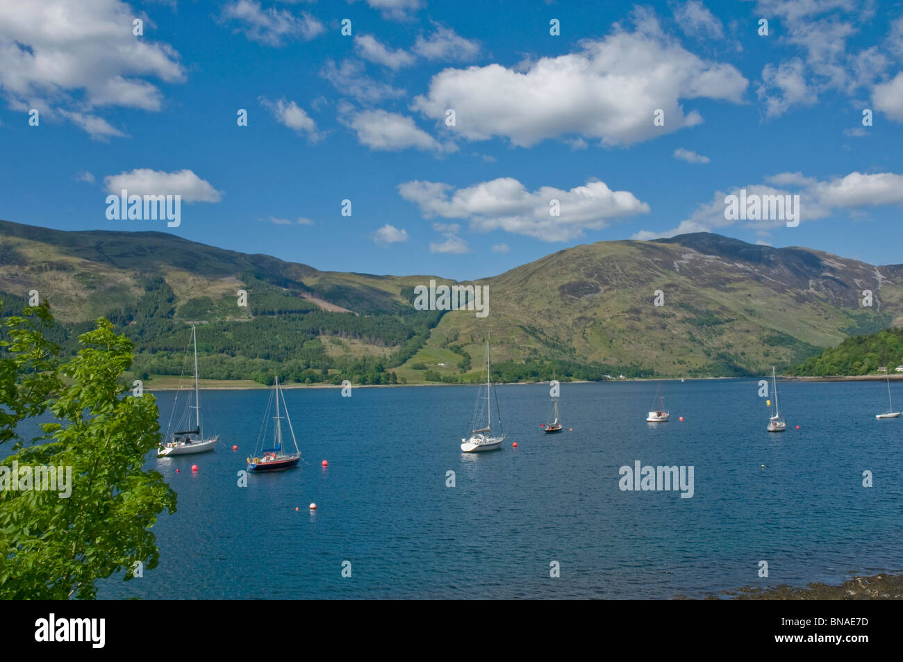 Yachts Loch Leven a Ballachulish Highland Scozia Scotland Foto Stock