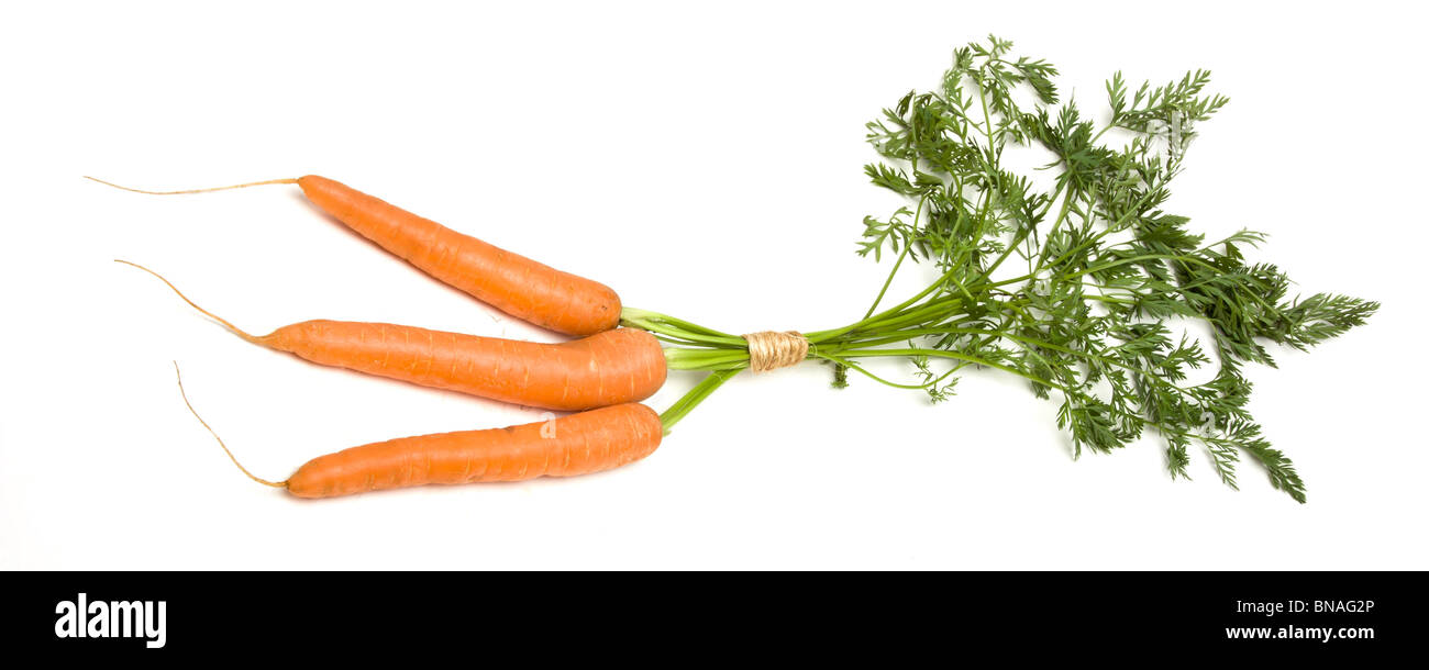 Un mazzetto di carote fresche da basso prospettica isolata contro il bianco. Foto Stock