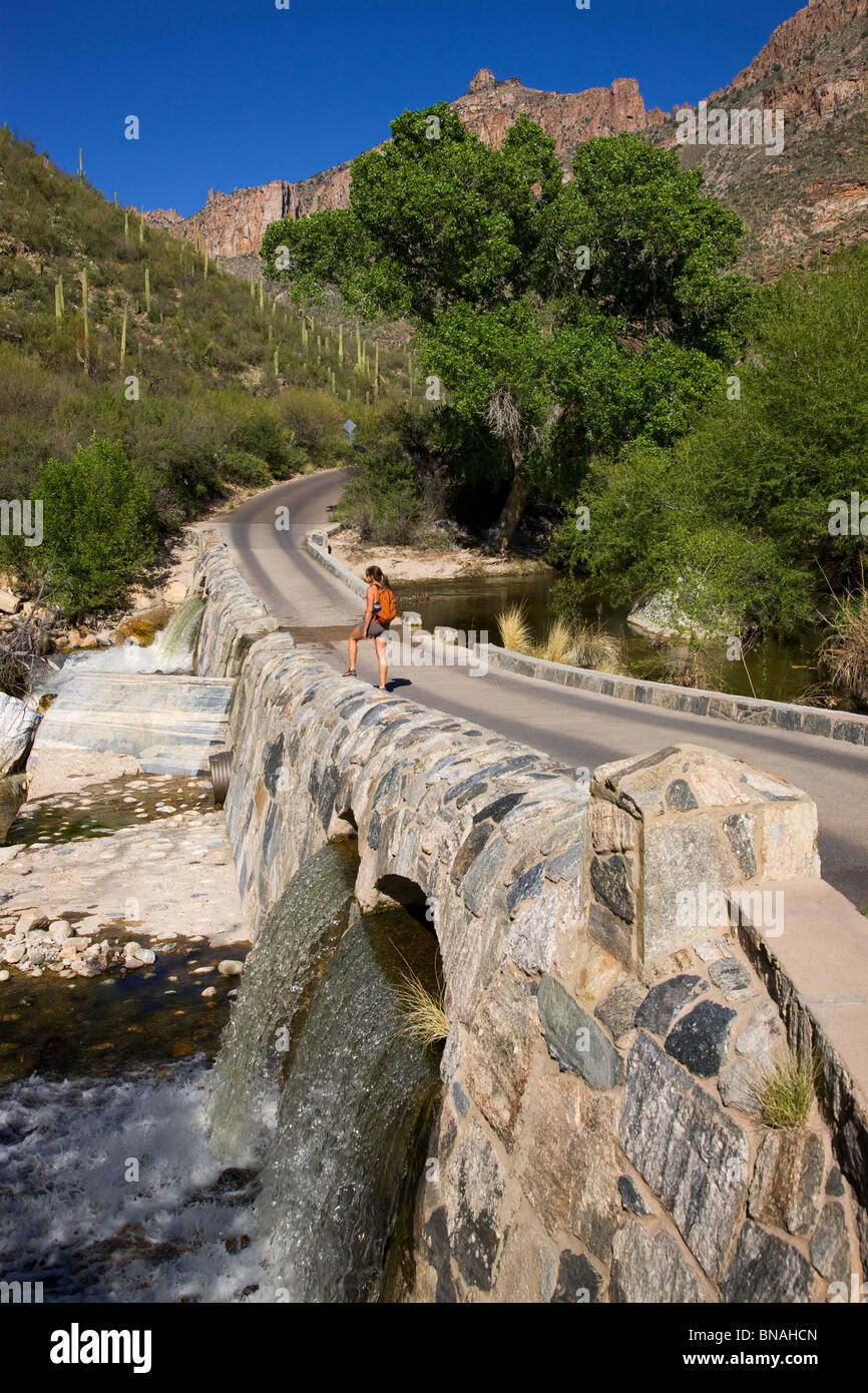 Escursionista si ferma a Sabino Creek, Sabino Canyon Recreation Area, Tucson, Arizona. (Modello rilasciato) Foto Stock