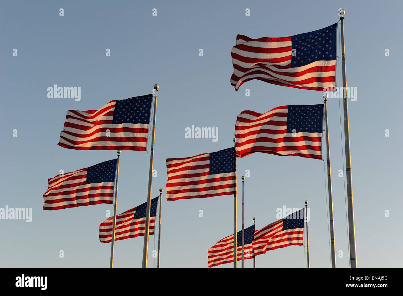 Bandierine americane sbattimenti nel vento contro un cielo blu chiaro Foto Stock