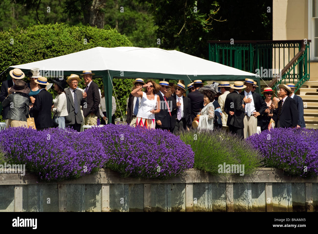 Persone, spettatori e curiosi sul Tempio isola godendo Henley Royal Regatta un annuale appuntamento estivo. Foto Stock