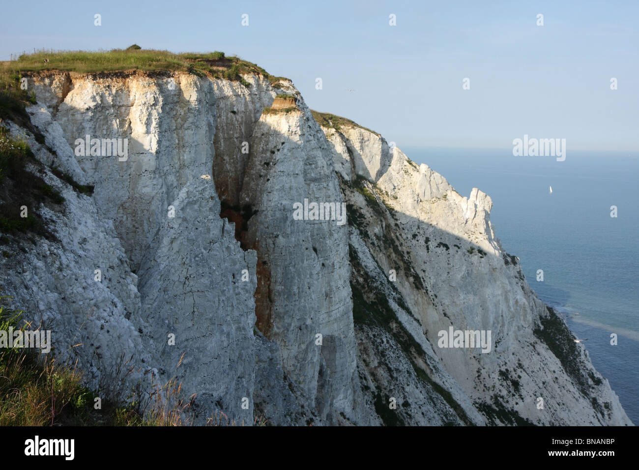 Beachy Head, East Sussex, Regno Unito Foto Stock