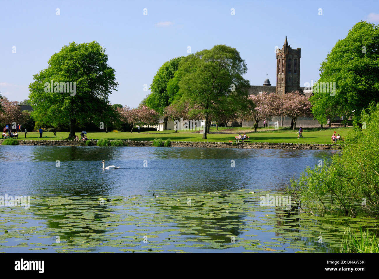 Carlingwark Loch e park, Castle Douglas, Dumfries and Galloway, Scozia su una giornata di primavera. Foto Stock
