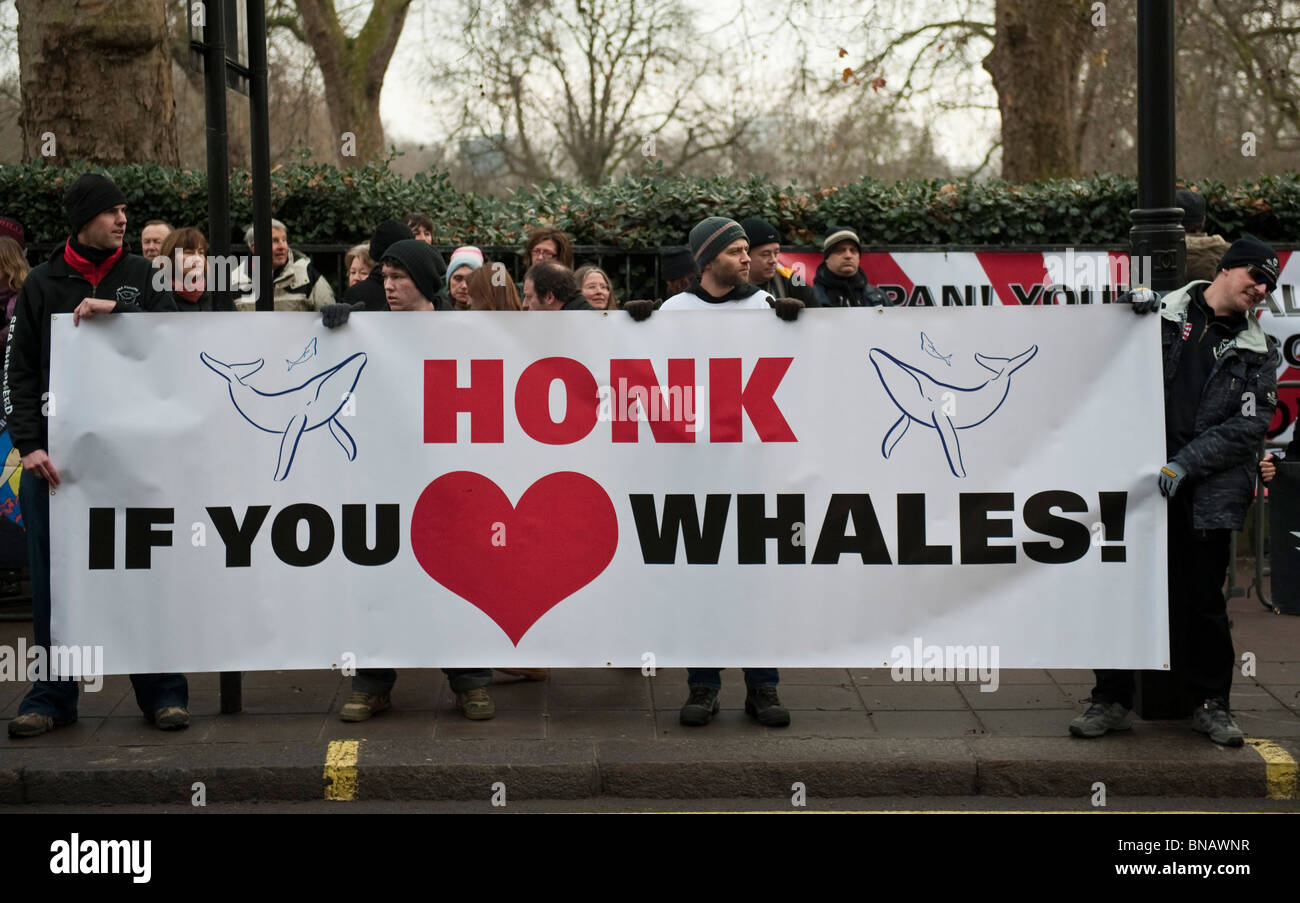 Anti-caccia alla balena gli attivisti da Sea Shepherd Conservation Society protesta all ambasciata giapponese di Londra Foto Stock