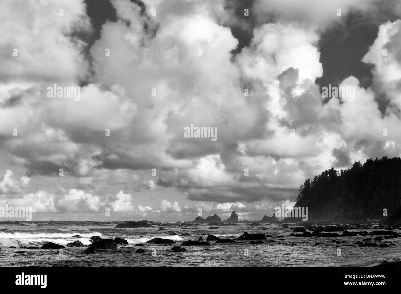 Nuvole a Rialto Beach. Il Parco nazionale di Olympic, Washington Foto Stock