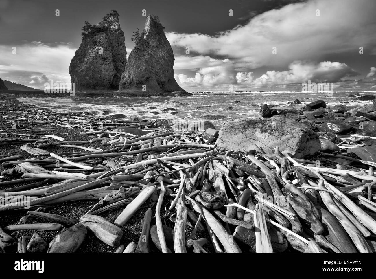 Driftwood e Split Rock. Spiaggia di Rialto. Il Parco nazionale di Olympic, Washington Foto Stock