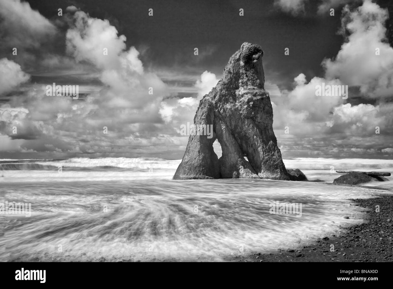Spiaggia di rubino e wave. Il Parco nazionale di Olympic, Washington Foto Stock
