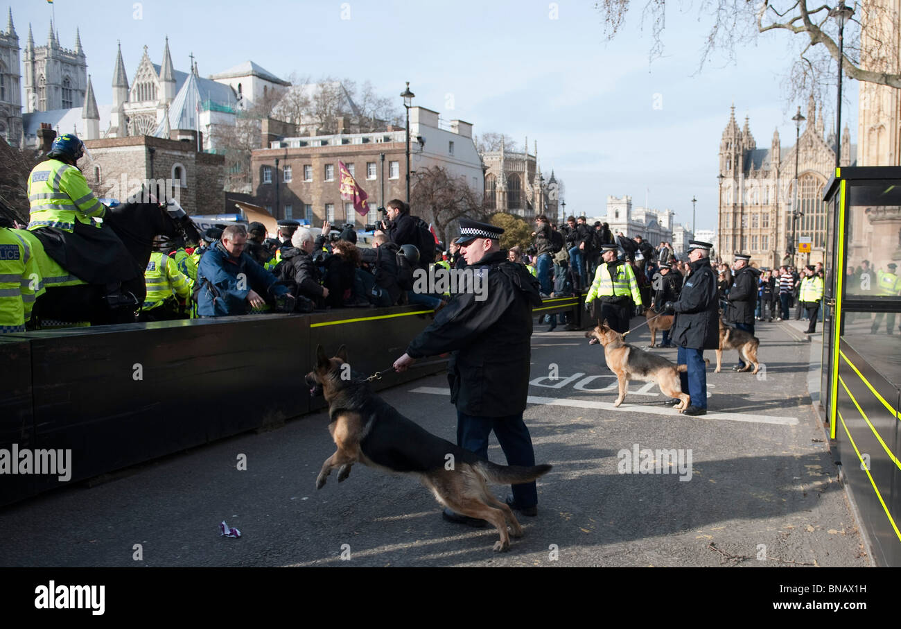 I funzionari di polizia con i cani durante un EDL dimostrazione a sostegno di MP olandese Geert Wilders Londra 5 Marzo 2010 Foto Stock