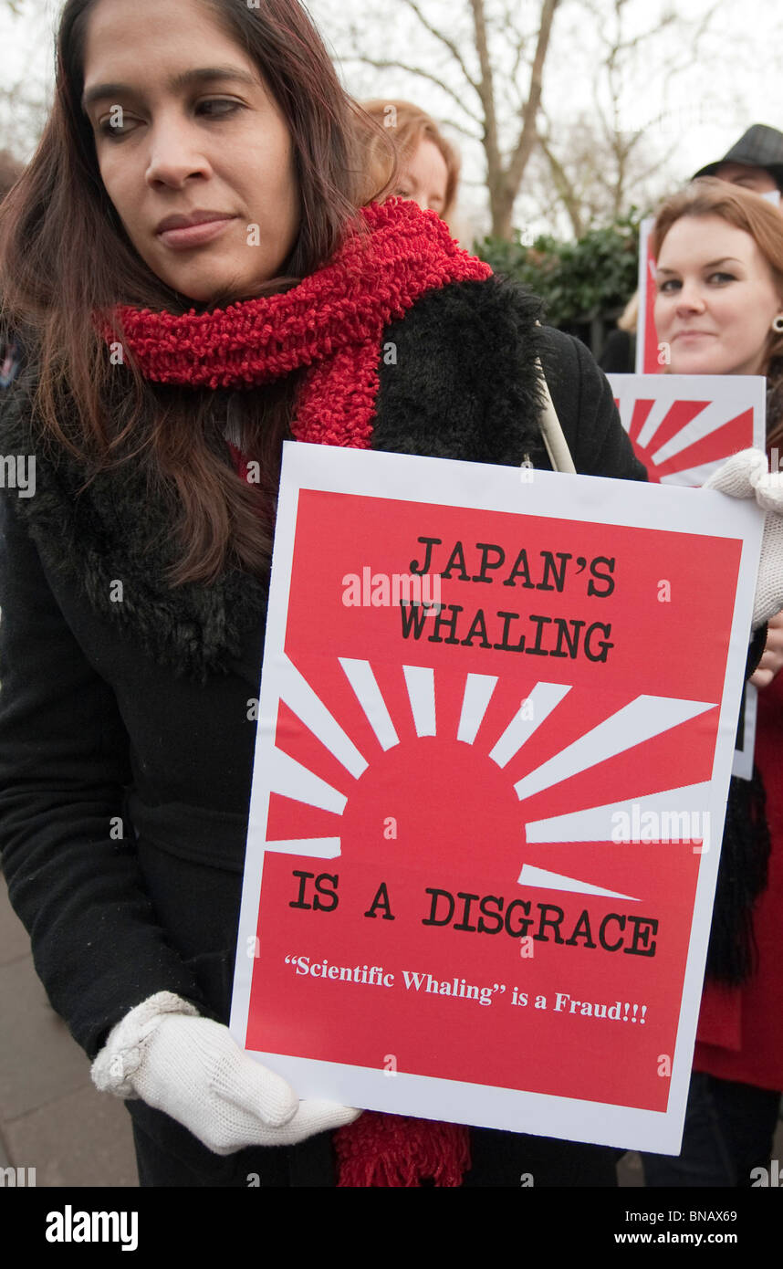 Anti-caccia alla balena gli attivisti da Sea Shepherd Conservation Society protesta all ambasciata giapponese di Londra Foto Stock