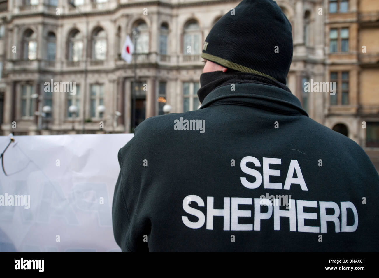 Anti-caccia alla balena gli attivisti da Sea Shepherd Conservation Society protesta all ambasciata giapponese di Londra Foto Stock