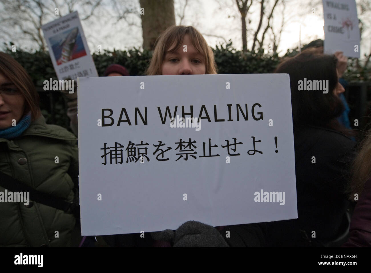 Anti-caccia alla balena gli attivisti da Sea Shepherd Conservation Society protesta all ambasciata giapponese di Londra Foto Stock