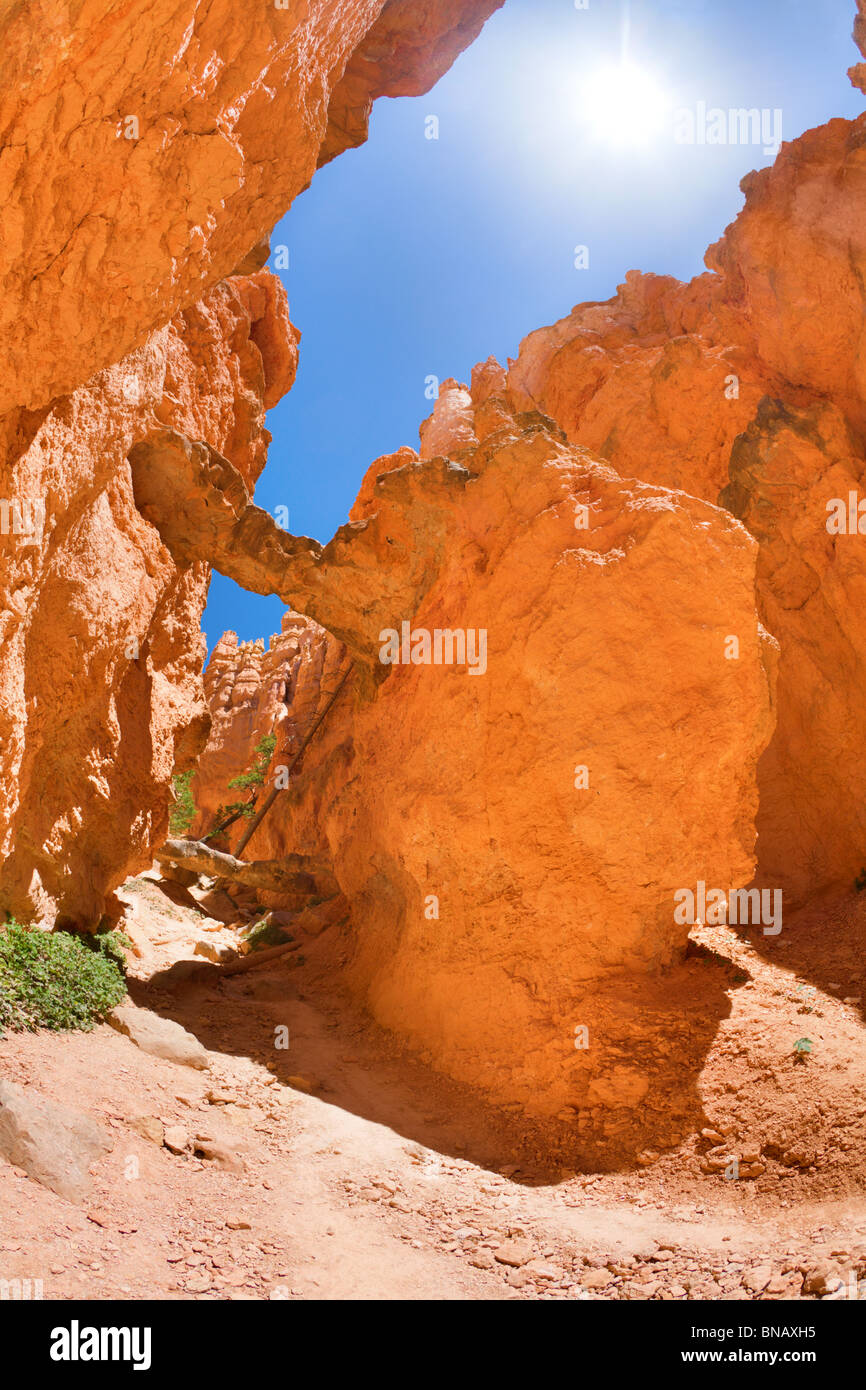 Bryce Canyon Foto Stock