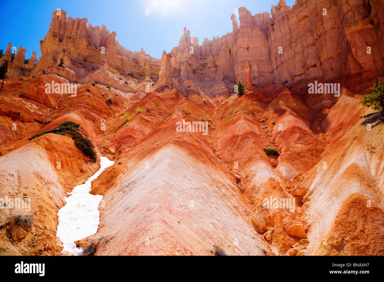 Bryce Canyon Foto Stock