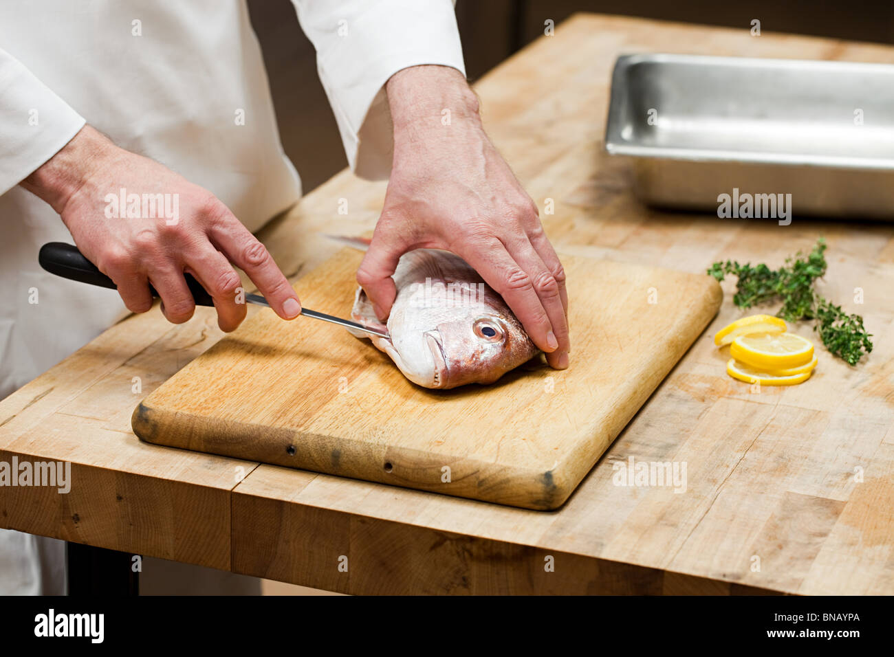 Lo chef maschio preparazione del pesce in cucina commerciale Foto Stock