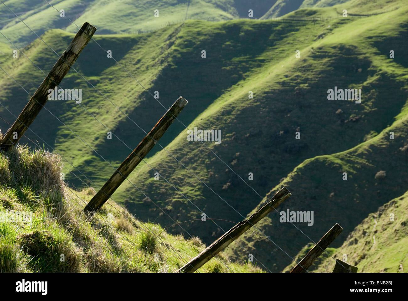 Post e recinto di filo sul pendio scosceso, Belmont Parco Regionale, Wellington, Isola del nord, Nuova Zelanda Foto Stock